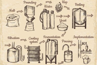 Brewing Your Own Beer